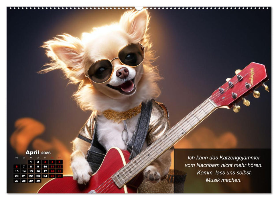 Lustige Chihuahua-Momente (CALVENDO Premium Wandkalender 2026)