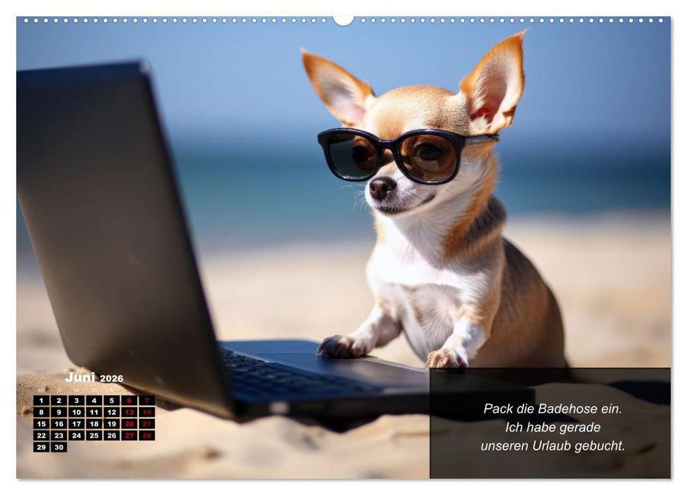 Lustige Chihuahua-Momente (CALVENDO Premium Wandkalender 2026)