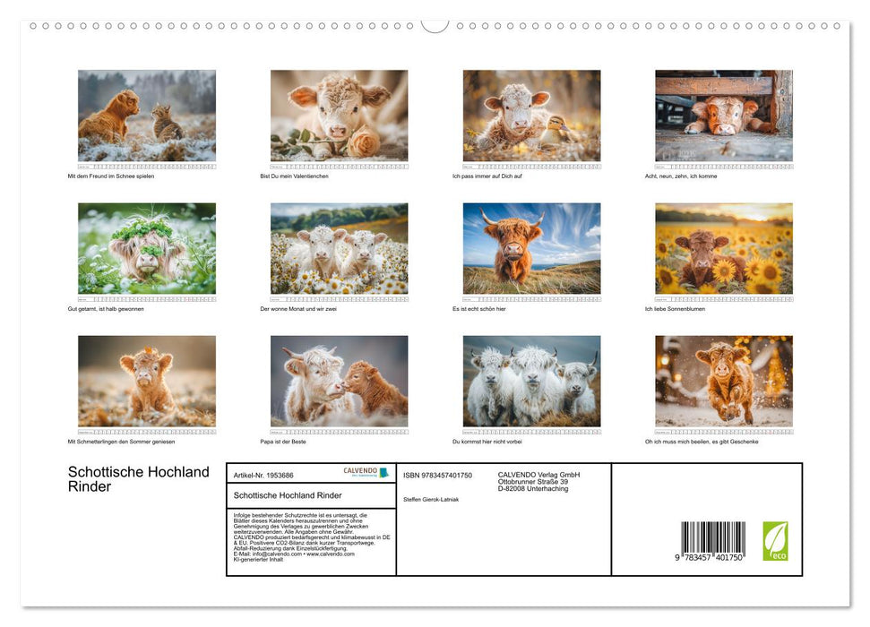Schottische Hochland Rinder (CALVENDO Premium Wandkalender 2026)