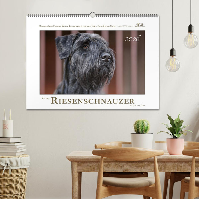 Mit dem Riesenschnauzer durch das Jahr (CALVENDO Wandkalender 2026)