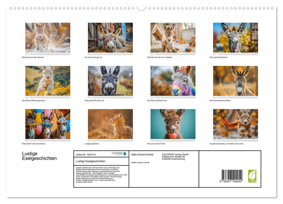 Lustige Eselgeschichten (CALVENDO Premium Wandkalender 2026)