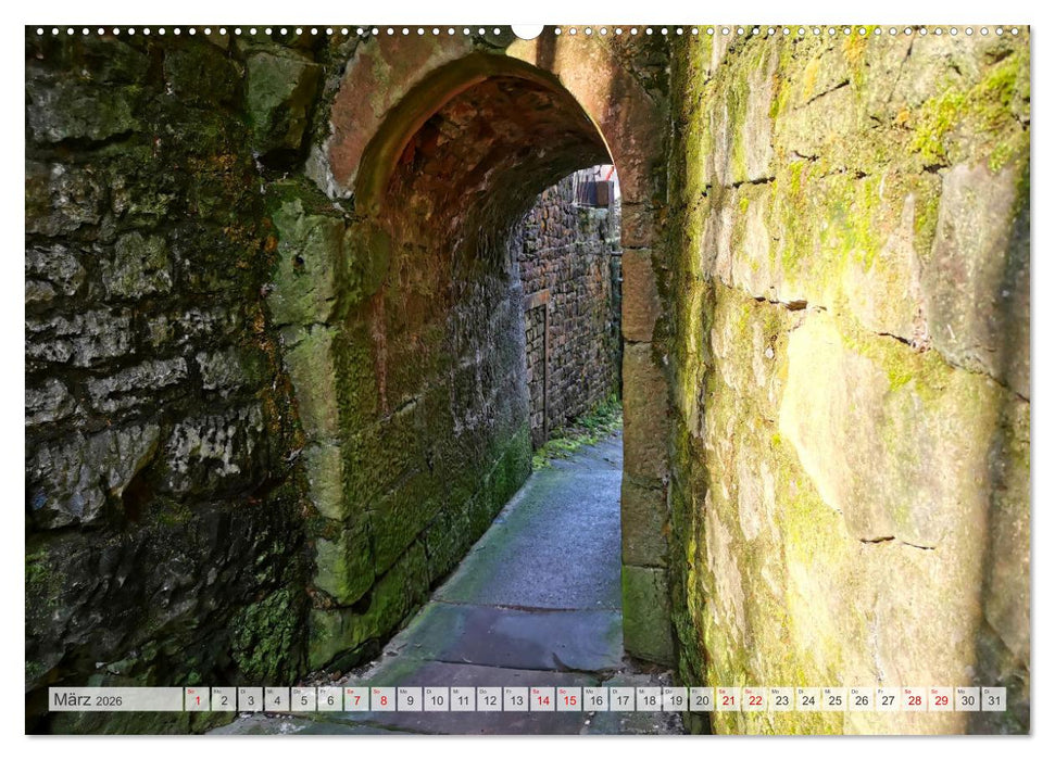 Miltenberg neu entdeckt (CALVENDO Wandkalender 2026)