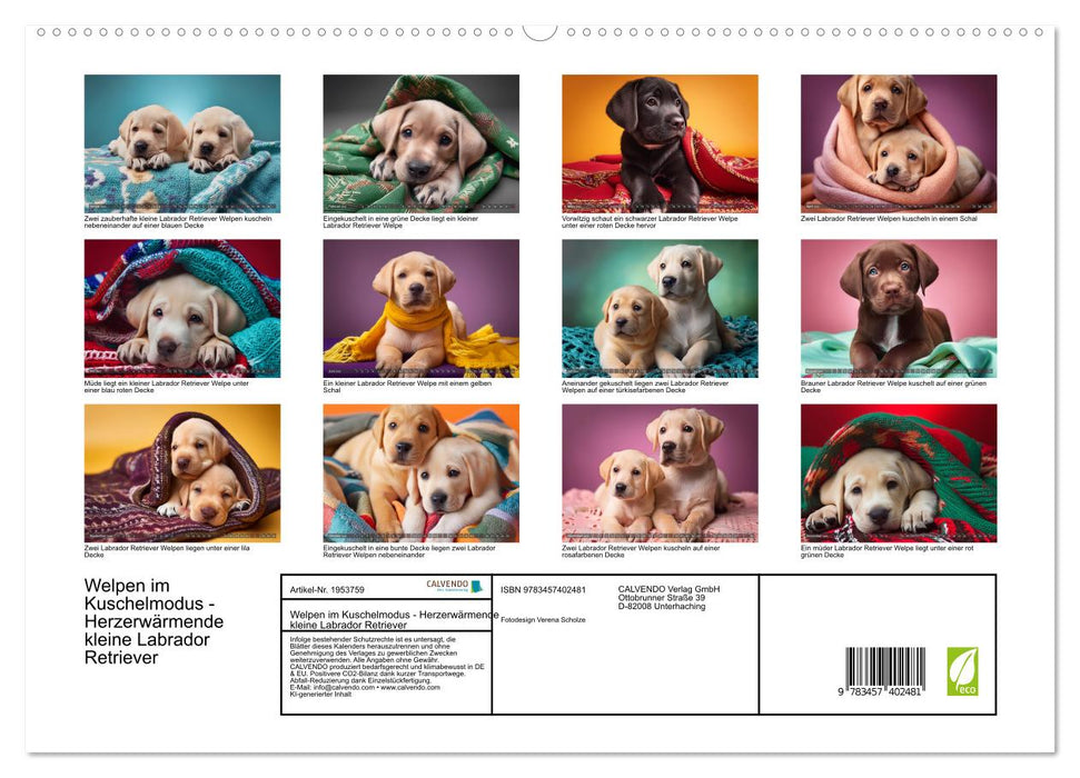 Welpen im Kuschelmodus - Herzerwärmende kleine Labrador Retriever (CALVENDO Premium Wandkalender 2026)