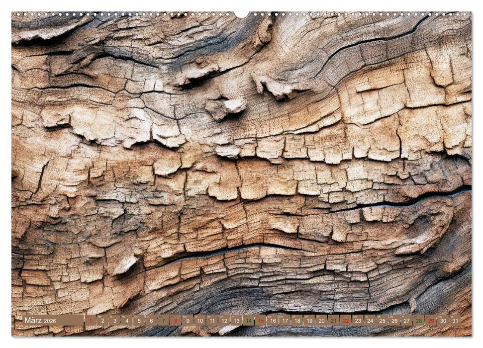 Faszination HOLZ - Strukturen (CALVENDO Wandkalender 2026)