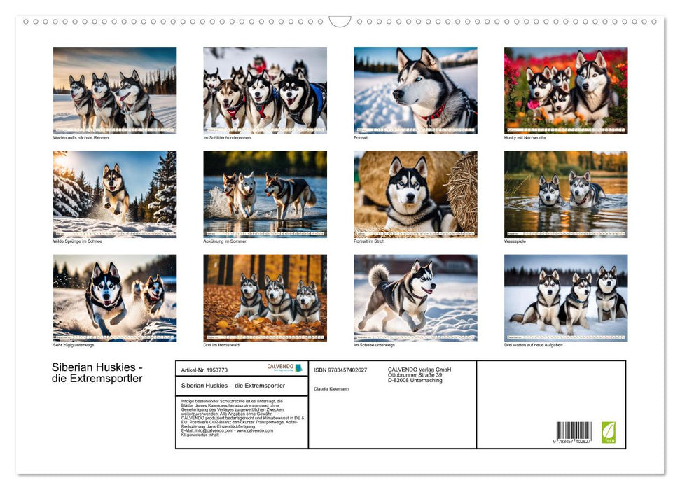 Siberian Huskies - die Extremsportler (CALVENDO Wandkalender 2026)