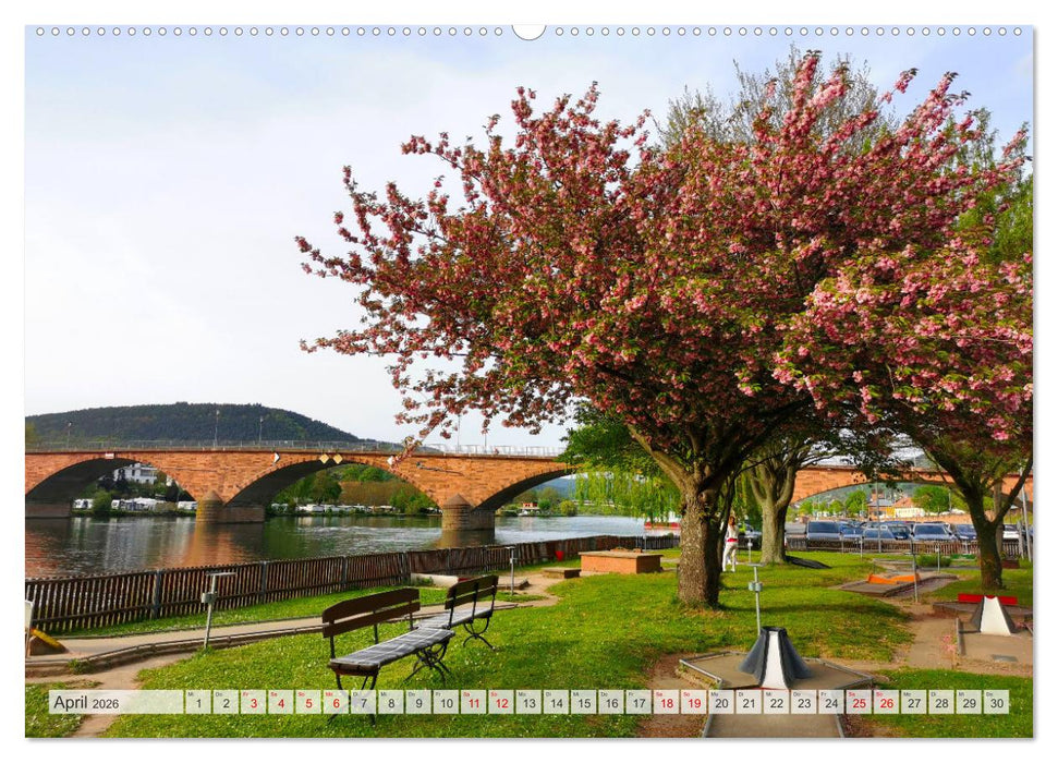 Miltenberg neu entdeckt (CALVENDO Premium Wandkalender 2026)