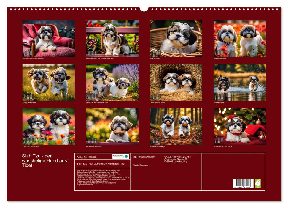 Shih Tzu - der wuschelige Hund aus Tibet (CALVENDO Wandkalender 2026)