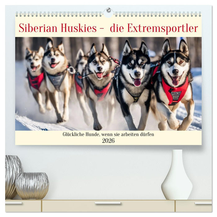 Siberian Huskies - die Extremsportler (CALVENDO Premium Wandkalender 2026)