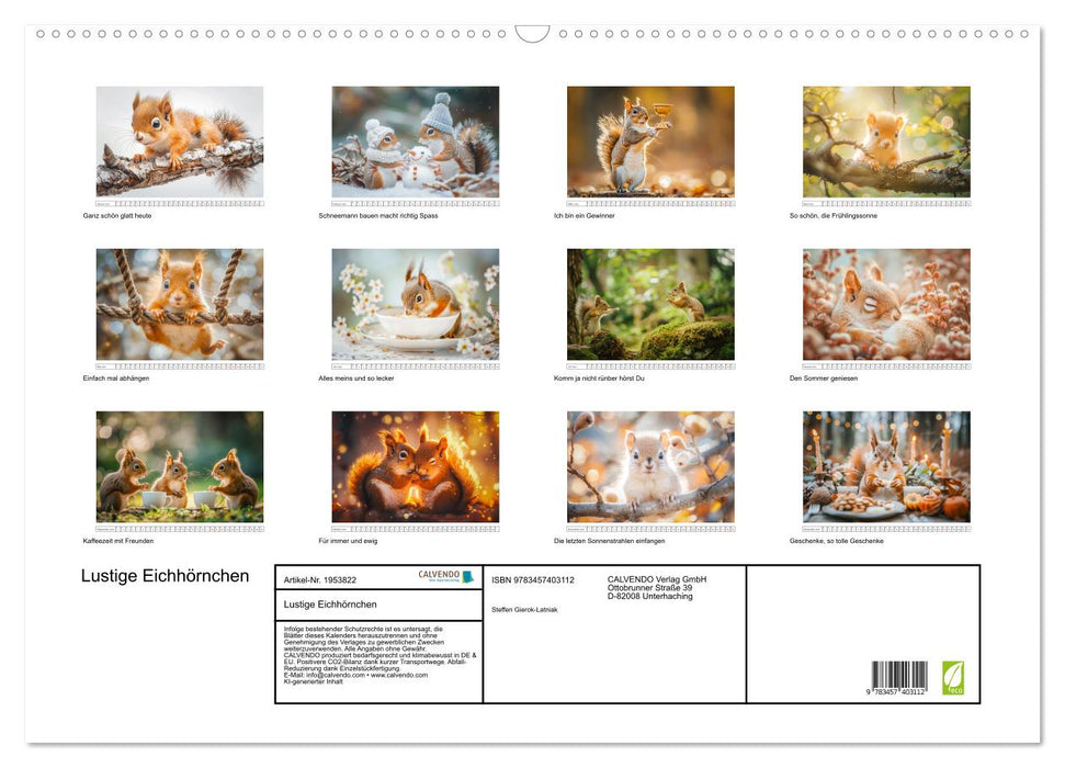 Lustige Eichhörnchen (CALVENDO Wandkalender 2026)