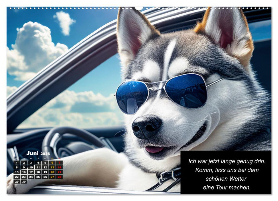 Der tierisch lustige Husky Kalender (CALVENDO Wandkalender 2026)