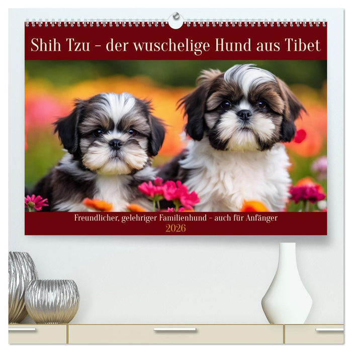 Shih Tzu - der wuschelige Hund aus Tibet (CALVENDO Premium Wandkalender 2026)