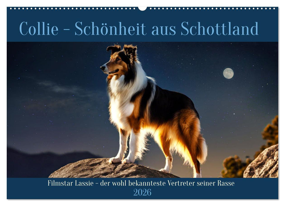 Traumhund Collie (CALVENDO Wandkalender 2026)