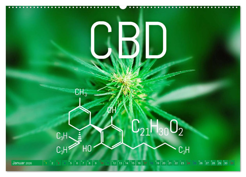 Faszination Cannabis (CALVENDO Premium Wandkalender 2026)