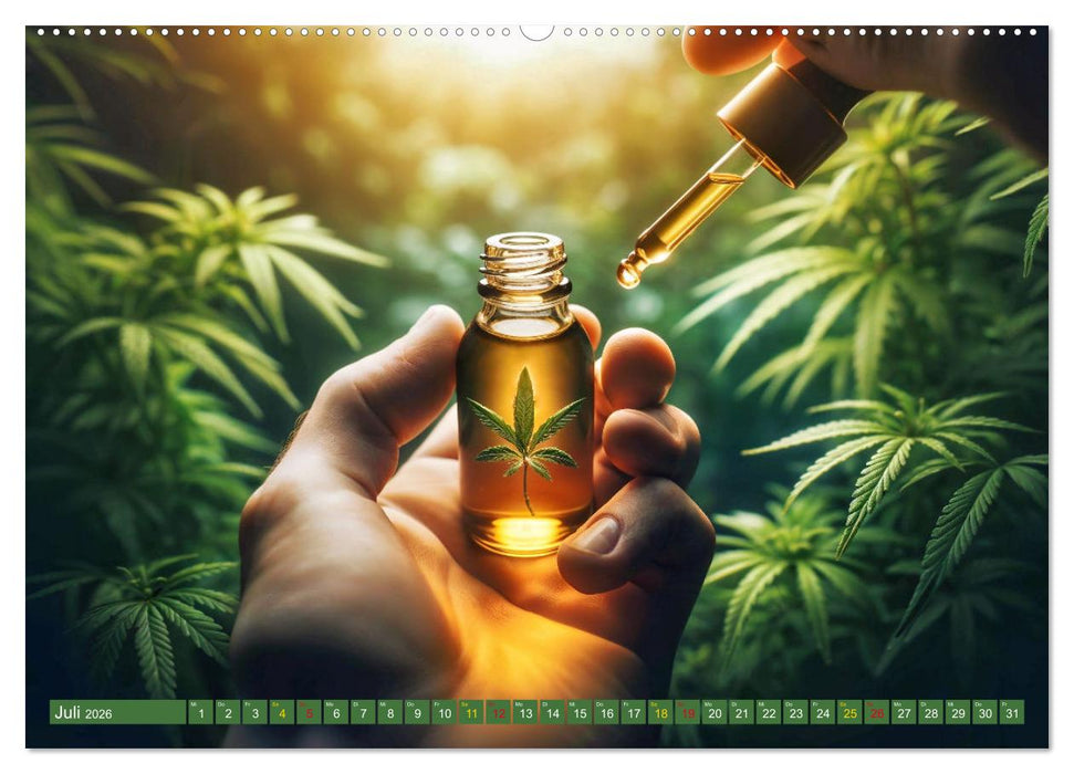 Faszination Cannabis (CALVENDO Premium Wandkalender 2026)