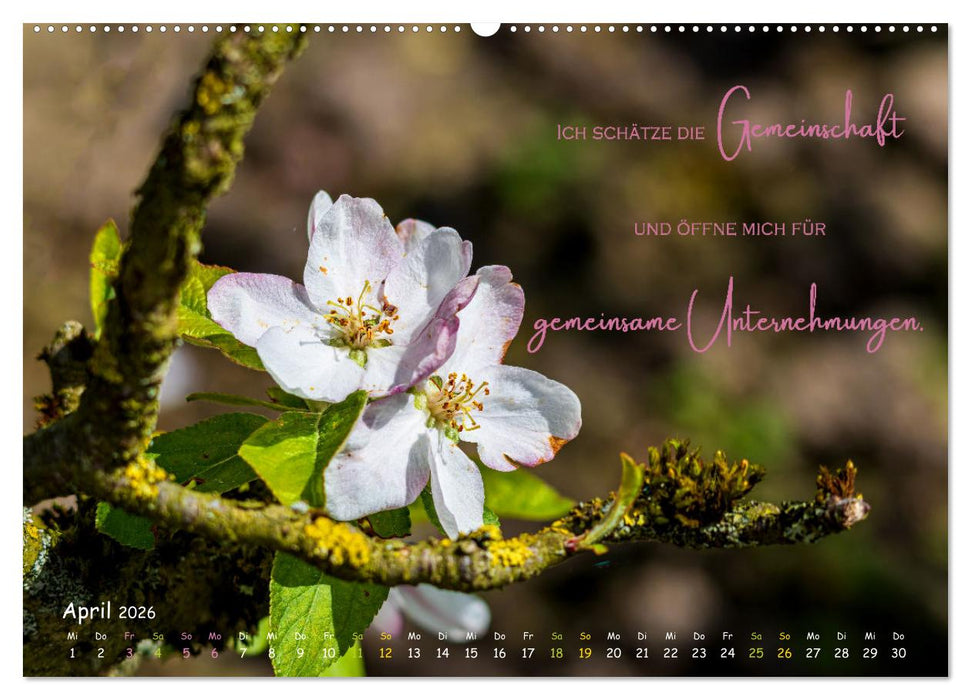 Weibliche Kraft - 12 Impulse zu deiner Wirksamkeit als Frau (CALVENDO Wandkalender 2026)