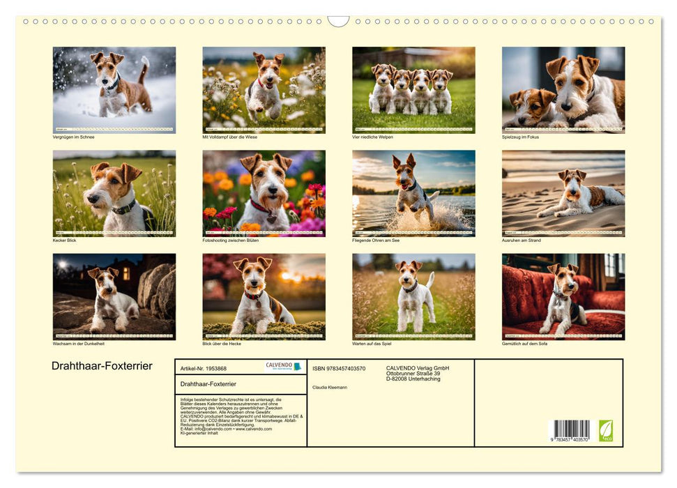 Drahthaar-Foxterrier (CALVENDO Wandkalender 2026)