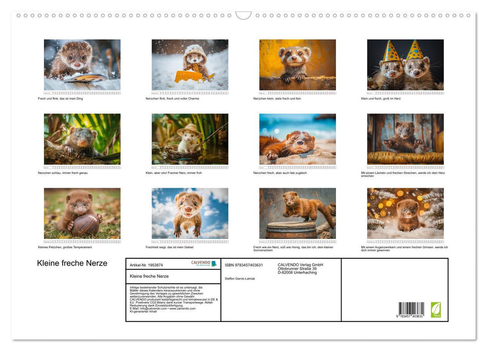 Kleine freche Nerze (CALVENDO Wandkalender 2026)