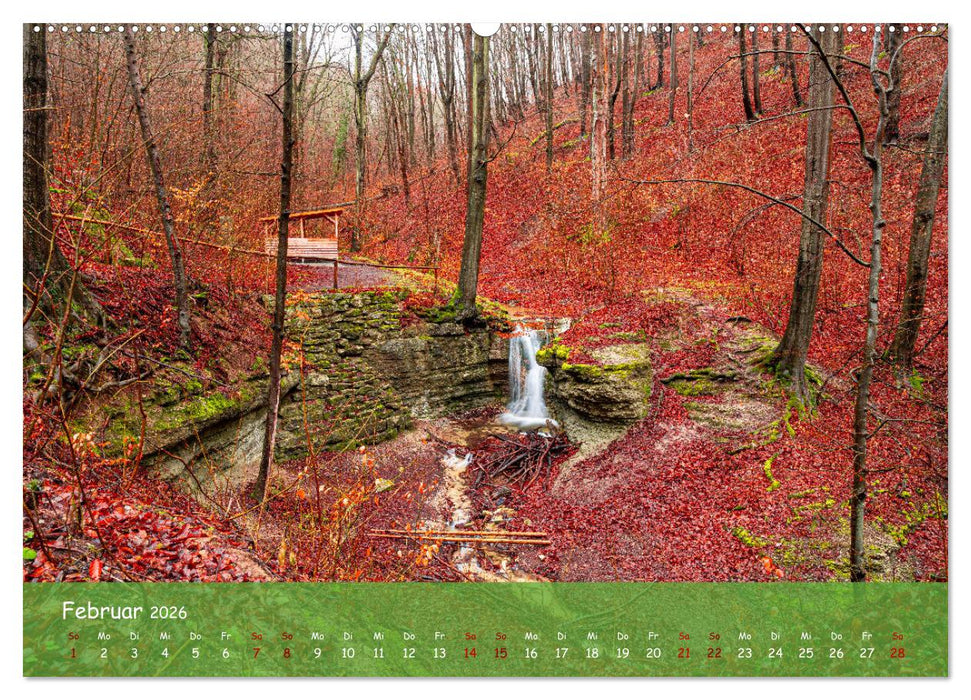 Jena - Faszination in Bildern (CALVENDO Wandkalender 2026)