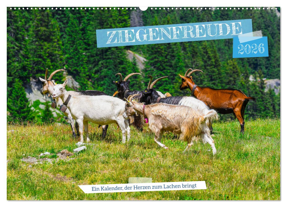 Ziegenfreude (CALVENDO Wandkalender 2026)