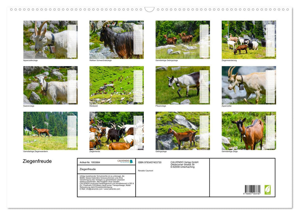 Ziegenfreude (CALVENDO Wandkalender 2026)