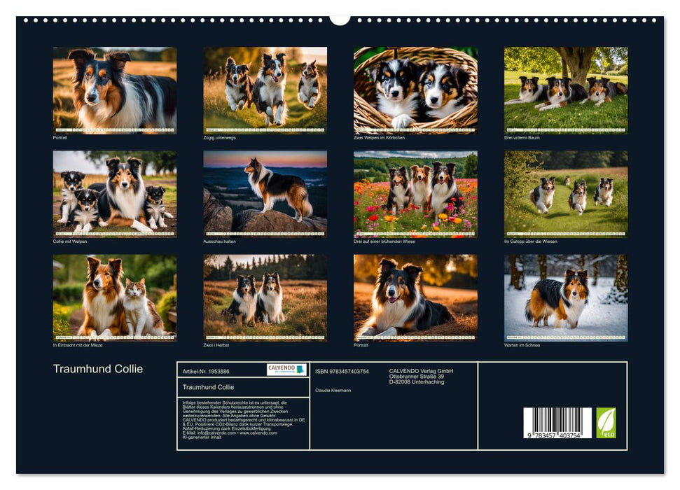 Traumhund Collie (CALVENDO Premium Wandkalender 2026)