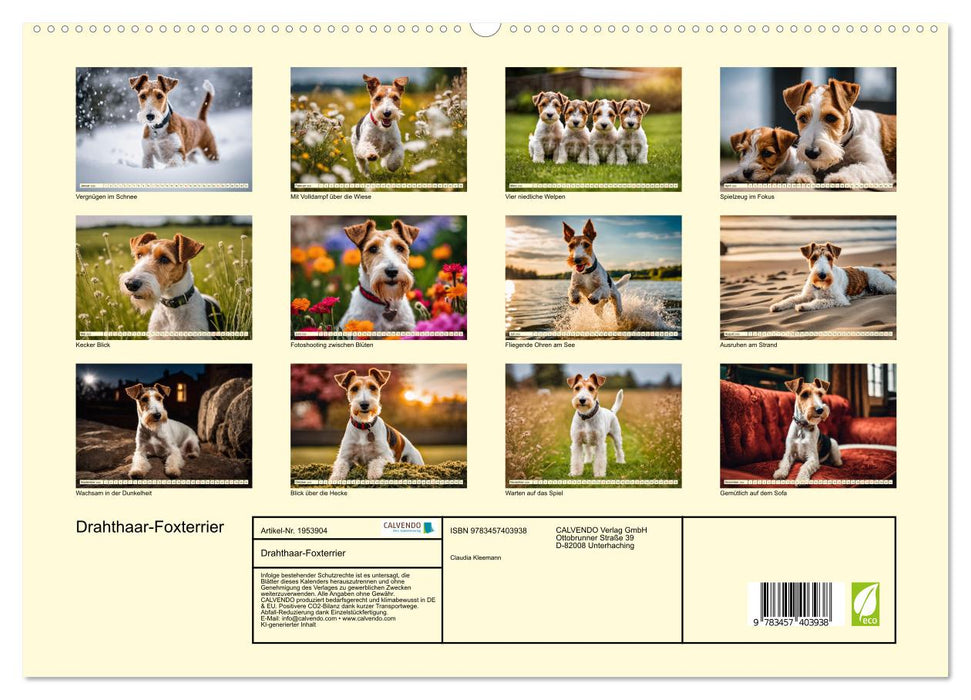 Drahthaar-Foxterrier (CALVENDO Premium Wandkalender 2026)