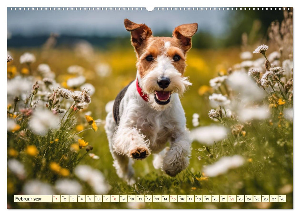 Drahthaar-Foxterrier (CALVENDO Premium Wandkalender 2026)