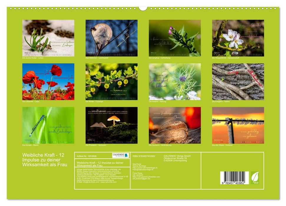 Weibliche Kraft - 12 Impulse zu deiner Wirksamkeit als Frau (CALVENDO Premium Wandkalender 2026)