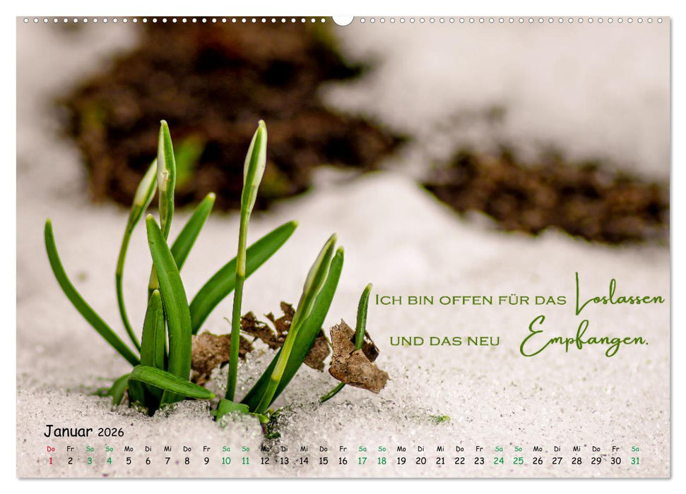 Weibliche Kraft - 12 Impulse zu deiner Wirksamkeit als Frau (CALVENDO Premium Wandkalender 2026)