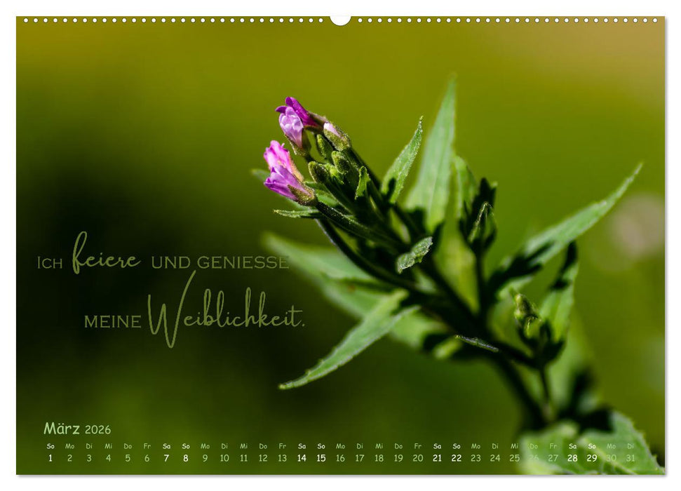 Weibliche Kraft - 12 Impulse zu deiner Wirksamkeit als Frau (CALVENDO Premium Wandkalender 2026)