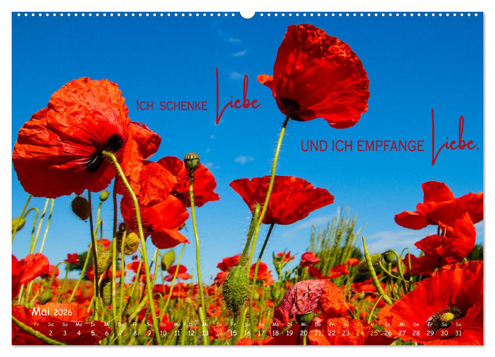 Weibliche Kraft - 12 Impulse zu deiner Wirksamkeit als Frau (CALVENDO Premium Wandkalender 2026)