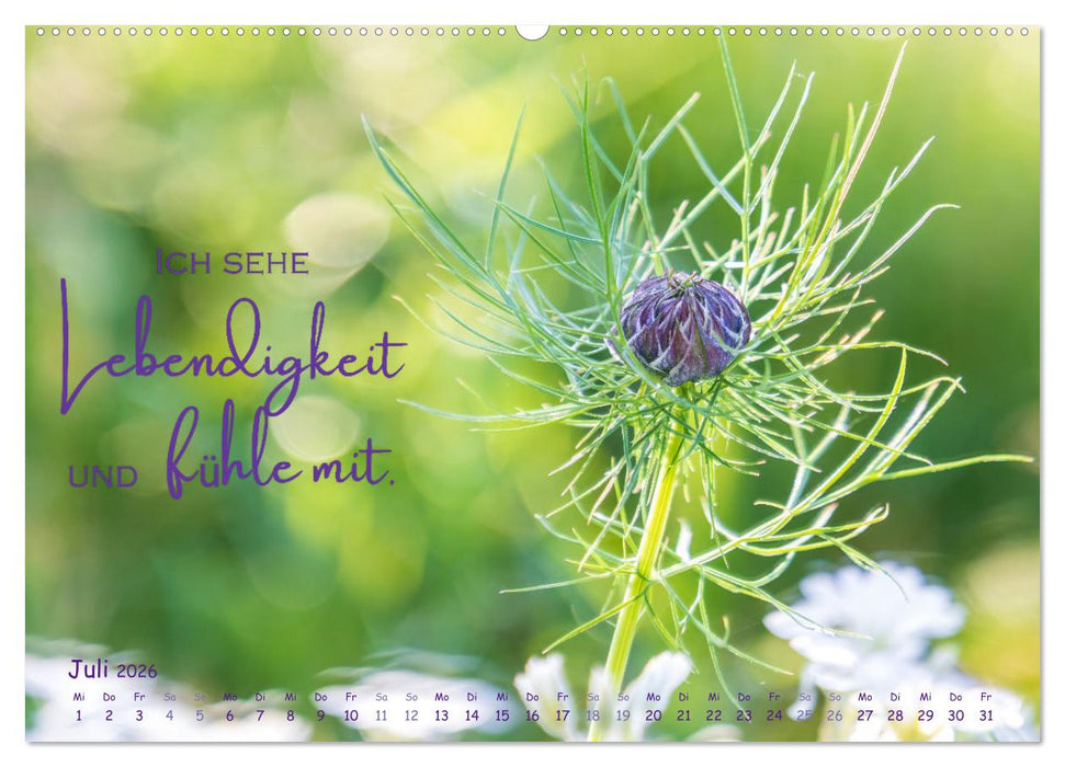 Weibliche Kraft - 12 Impulse zu deiner Wirksamkeit als Frau (CALVENDO Premium Wandkalender 2026)