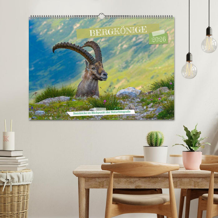 Bergkönige - Steinböcke im Blickpunkt der Naturfotografie (CALVENDO Wandkalender 2026)