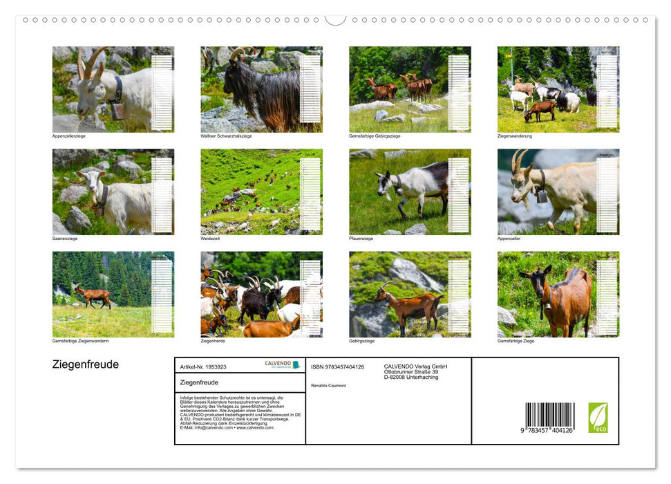 Ziegenfreude (CALVENDO Premium Wandkalender 2026)