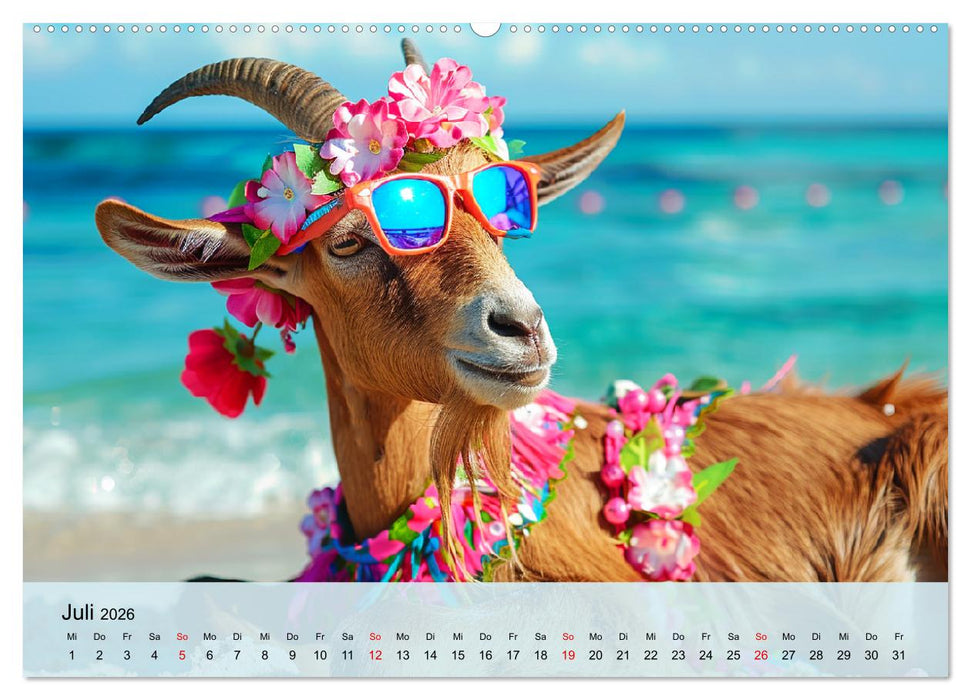Ziegen im Modezauber. Ein alpiner Fashion-Marathon (CALVENDO Premium Wandkalender 2026)