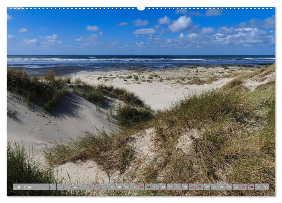 Vlieland Perle an der Nordsee (CALVENDO Wandkalender 2026)