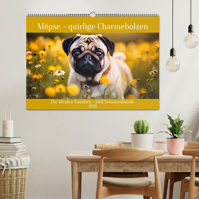 Möpse - quirlige Charmebolzen (CALVENDO Wandkalender 2026)