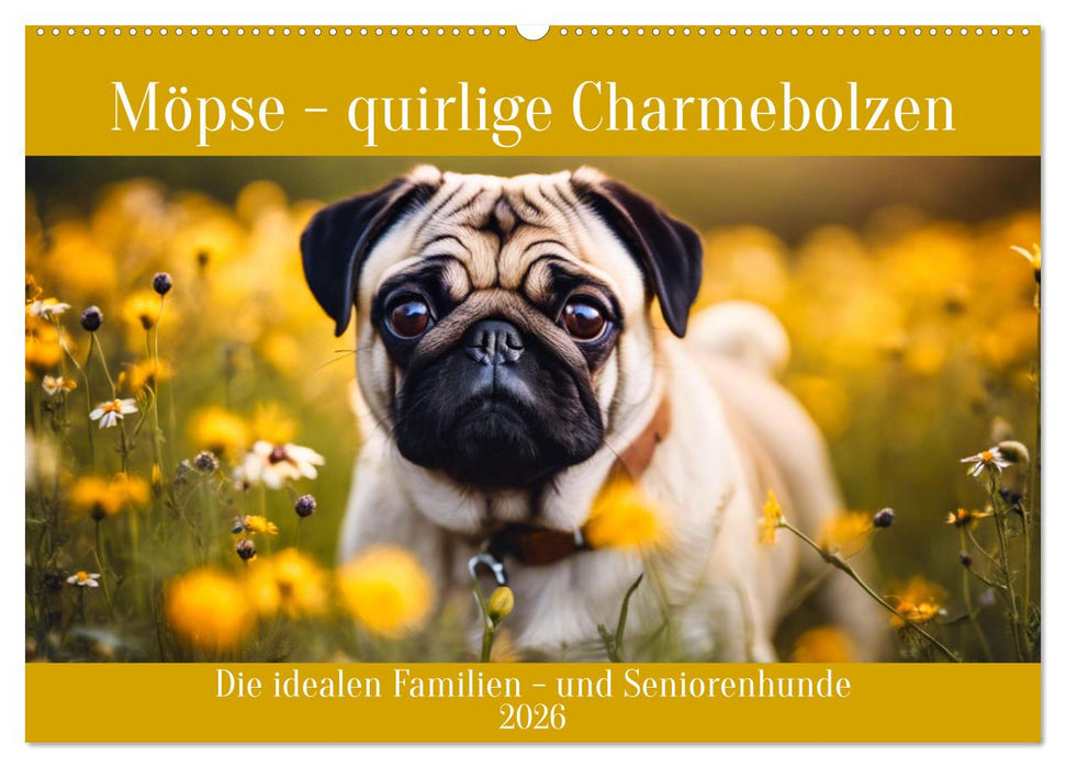 Möpse - quirlige Charmebolzen (CALVENDO Wandkalender 2026)