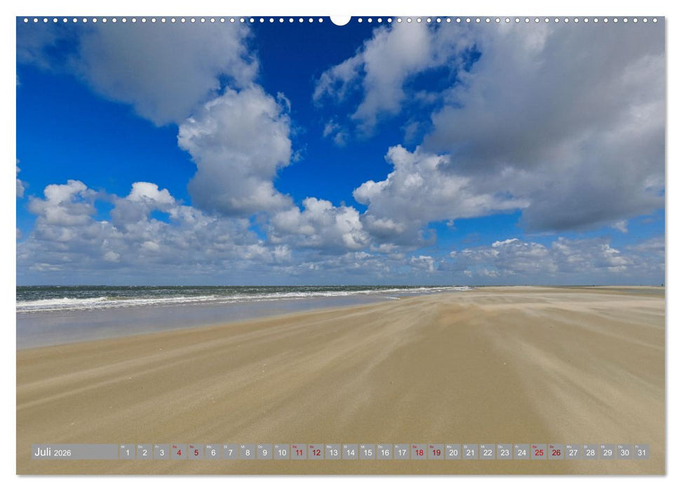 Vlieland Perle an der Nordsee (CALVENDO Premium Wandkalender 2026)