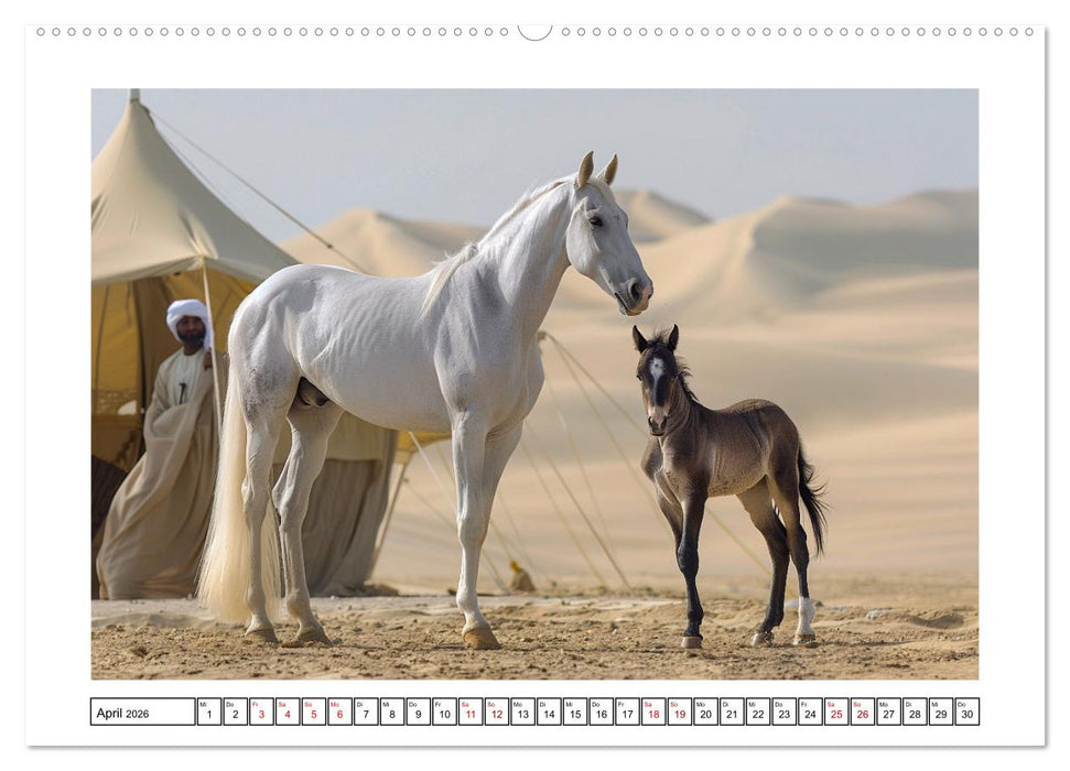 Bezaubernde Eleganz weißer Pferde (CALVENDO Premium Wandkalender 2026)