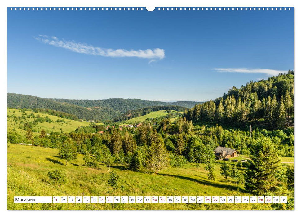 Schwarzwald (CALVENDO Premium Wandkalender 2026)