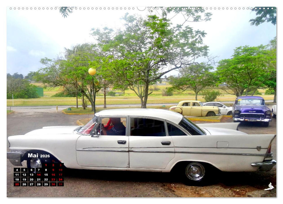 Ganz in Weiß - Elegante Oldtimer der Fünfziger Jahre (CALVENDO Wandkalender 2026)