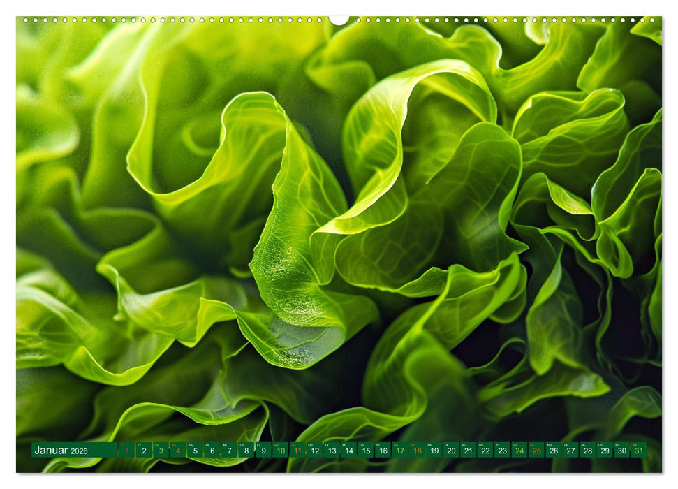 Algen - Superfood (CALVENDO Wandkalender 2026)