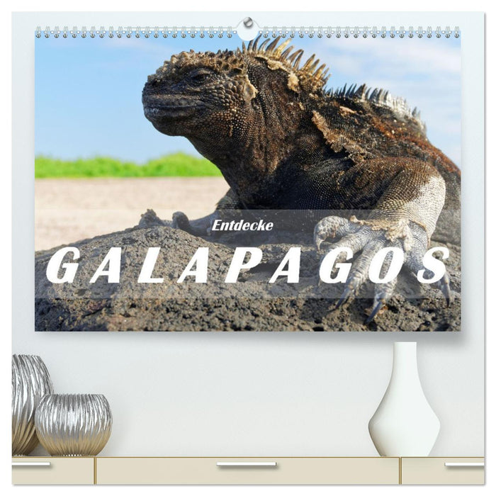 Entdecke Galapagos (CALVENDO Premium Wandkalender 2026)