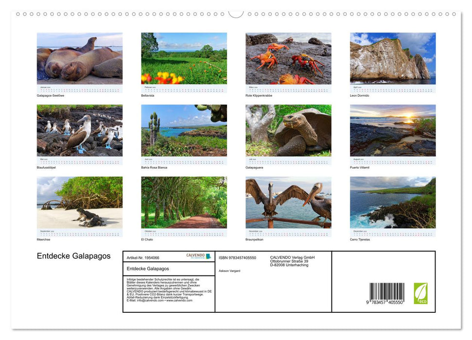Entdecke Galapagos (CALVENDO Premium Wandkalender 2026)