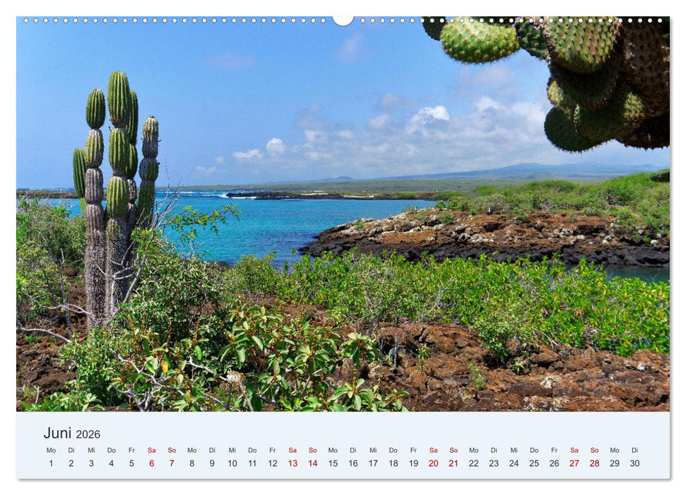 Entdecke Galapagos (CALVENDO Premium Wandkalender 2026)