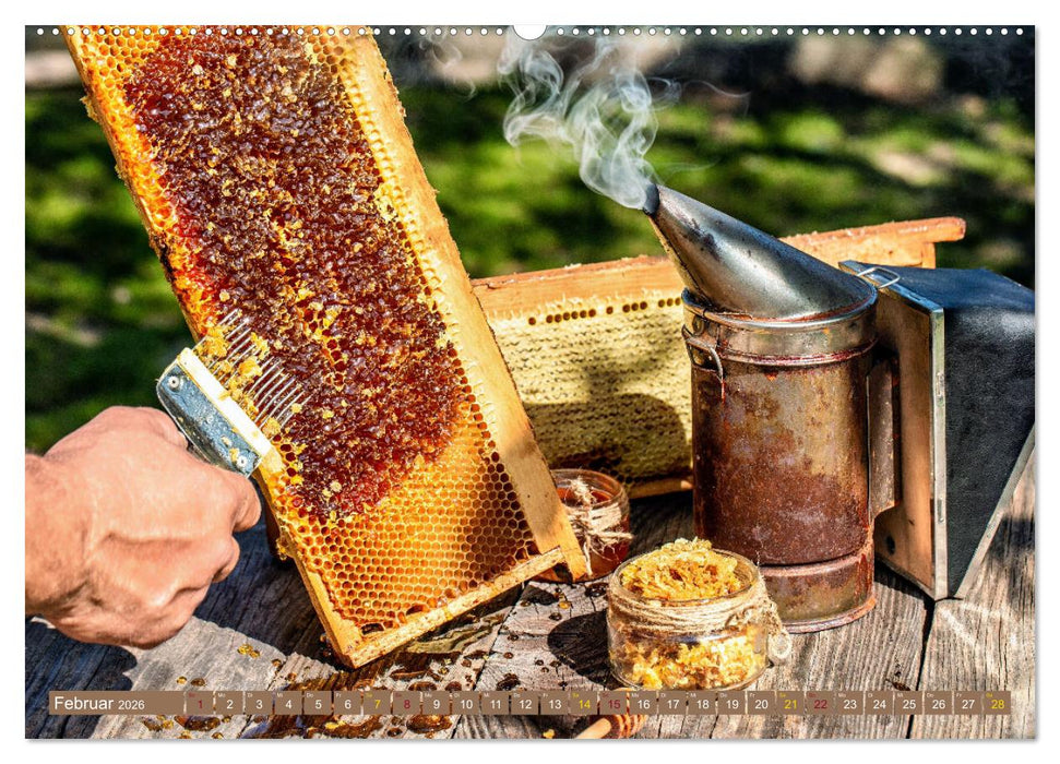 HONIG - flüssiges Gold (CALVENDO Wandkalender 2026)