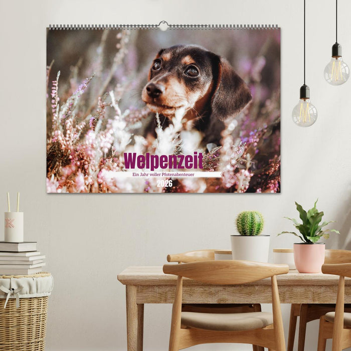Welpenzeit - Ein Jahr voller spannender Pfotenabenteuer (CALVENDO Wandkalender 2026)