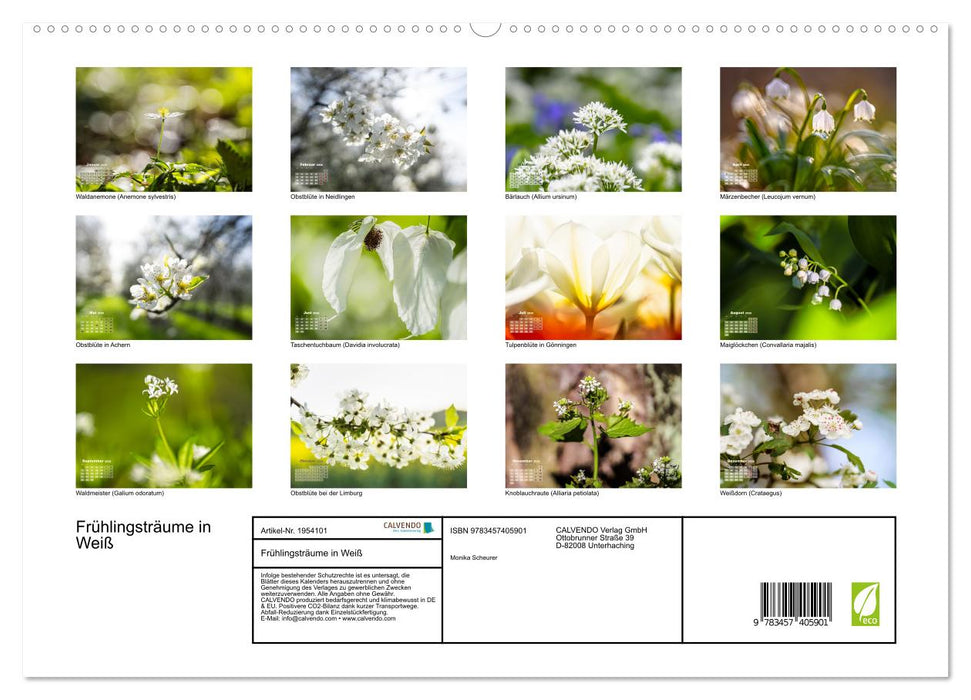 Frühlingsträume in Weiß (CALVENDO Premium Wandkalender 2026)