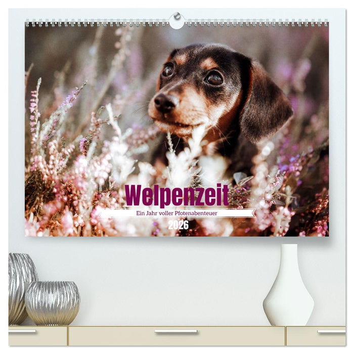 Welpenzeit - Ein Jahr voller spannender Pfotenabenteuer (CALVENDO Premium Wandkalender 2026)
